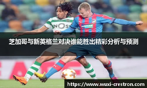 zoty中欧芝加哥与新英格兰对决谁能胜出精彩分析与预测